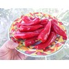 Chile De Agua Pepper Seeds 10+ Seeds