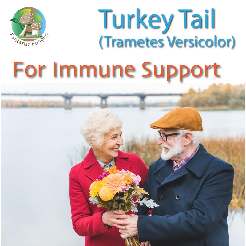 Fantastic Fungi Organic Turkey Tail mushroom powder extract by Ecogenya