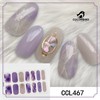 COLORBIRD Nail Seal, Autumn and Winter B, Just Paste Manicure,