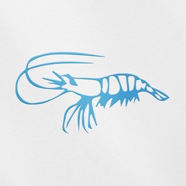 Transparent Decal Stickers Of Realistic Shrimp (Azure Blue) Premium Waterproof Vinyl Decal Stickers For Laptop Phone Accessory Helmet Car Window Mug Tuber Cup Door Wall Decorati USCSKUS511444BE090622