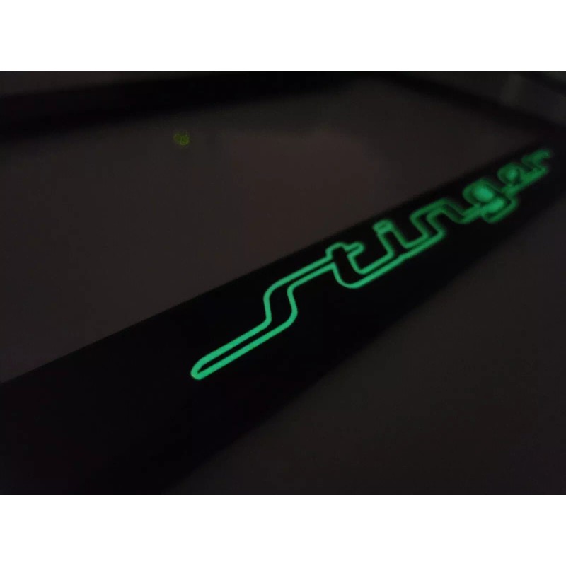 Kia Stinger GT GLOWING Stinger GT Real Black 100% Carbon