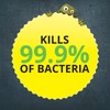 A Perry Premium Anti Bacterial Wipes (Tub of 100) -