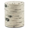 Kotodo Takahashi Seisakusho Tea Caddy White Birch Can, Flat Type,