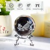 ZEERSHEE 3D Glass Laser Cardinal Bird Paperweight 60mm Crystal Ball