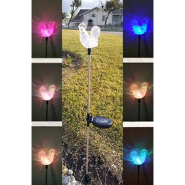 Affordable Outdoor Garden Set of 2 Solar Stake Light with Rooster Decorative Lights, Multi-Color Changing LED Solar Lights for Yard Decorations, Garden Gifts…