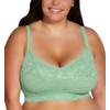 Cosabella Womens Say Never Ultra Curvy Sweetie Bralette, Ghana Green,
