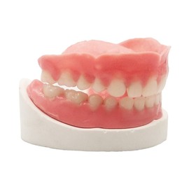 Denture Do it Yourself Full Set of Top and Bottom Fake Teeth for Improve Smile (Gypsum Model， Gum Material and Fake Teeth)