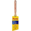 Purdy 144152725 Pro-Extra Glide Angular Paint Brush, 2-1/2 inch