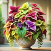 22Day Seeds: Seeds Coleus Variety Mix/Annual Flowers
