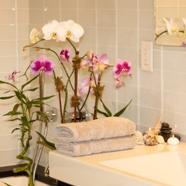 MOSOBAM 700 GSM Luxury Soft, Hand Towels 16X30, Set of 2, Light Grey, Bamboo-Turkish Cotton, Small Guest Bathroom Towel, Quick Dry Hotel Bath Sets, Gym Workout, Spa Facial, Face Prime Bulk, Gray