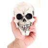 Fun Costumes Set of 3 Large Skulls