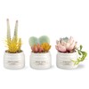 Kishima (Kishima) Eclea Deodorizing Artificial Green, Green, Size: Approx. W