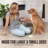 Pawsome Avenue Talking Buttons for Dogs - Dog Training Push