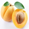Apricot kernel oil 100ml/Apricot kernel oil/Cleansing oil/Carrier oil/ / 살구씨오일 100ml/살구씨유/클렌징오일/캐리어오일/