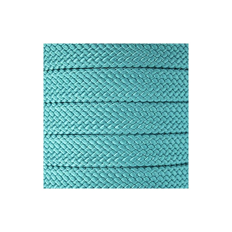 Teal, 10 Feet, 1 Inch PolyPro Rope - Flat Hollow