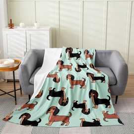 Feelyou - Manta de forro polar para perro salchicha de 50 x 60 pulgadas, manta de franela para niños, cachorros, perros, para sofá, niños, niñas, adolescentes, verde té para todas las estaciones