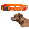 e Collar Replacement Strap - Dog Shock Collar Replacement Strap,