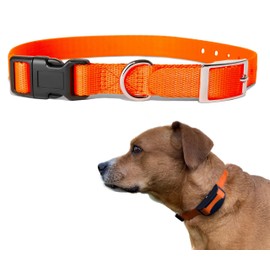 e Collar Replacement Strap - Dog Shock Collar Replacement Strap, Replacement Collar for Shock Collar Invisible Fence Collar Replacement, Compatible with Petsafe, Dogtra Compatible (1", Orange)