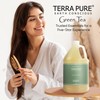 Terra Pure Hotel Shampoo | 1 Gallon | For Hospitality