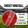 Mozi Sports Wind Cricket Balls - Indoor & Outdoor Soft