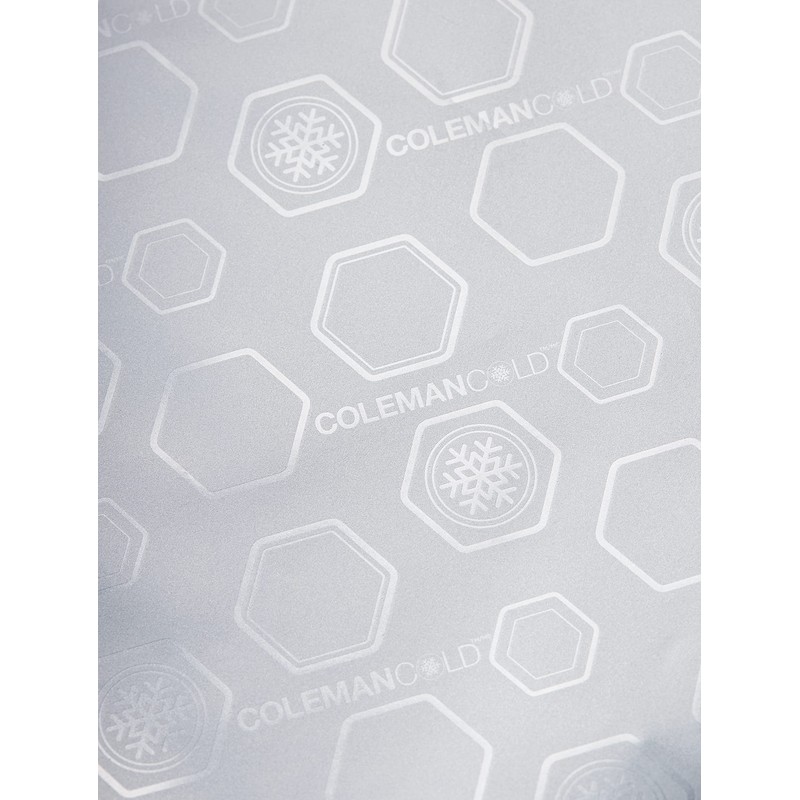 Coleman 2000038945 Daily Cooler, 5.3 gal (20 L), Mist