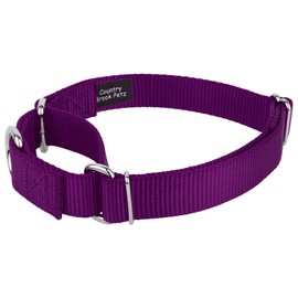 Country Brook Design - Martingale Heavyduty Nylon Dog Collar/Double Handle Leash - Medium
