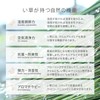 Ideas 29003494 Japanese Grass Entrance Mat (Lined), Approx. 11.8 x