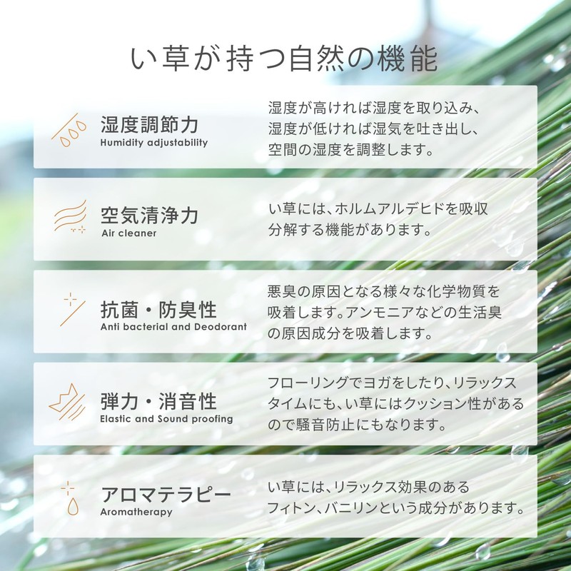 Ideas 29003494 Japanese Grass Entrance Mat (Lined), Approx. 11.8 x
