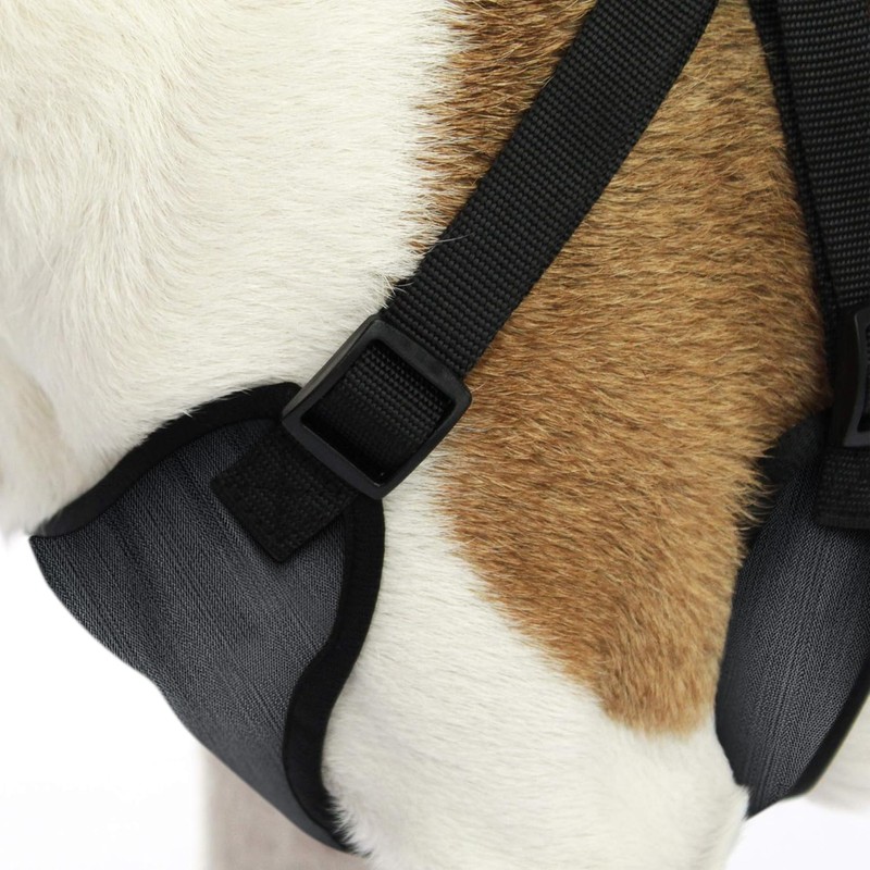 AKC Striped Step-in Dog Harness – No Pull Adjustable Vest