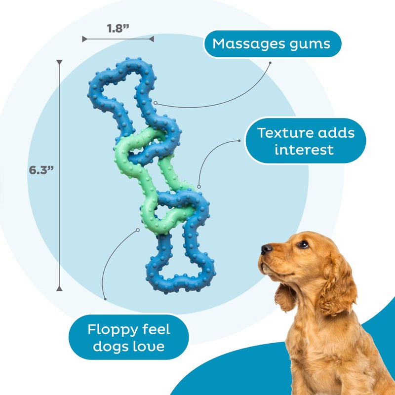 Outward Hound Bone Tugz Tug-of-War Dog Chew Toy, Blue