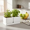 D'vine Dev Herb Garden Planter Set with Saucer, White, 76-Q-A-1