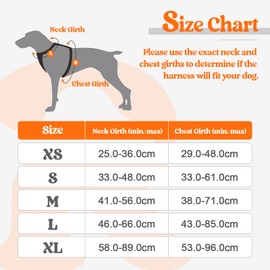 rabbitgoo Dog Harness Large Dog No Pull Pet Harness with 2 Leash Clips, Adjustable Soft Padded Pet Vest, Reflective No-Choke with Easy Control Handle for Training or Walking, Orange, XL