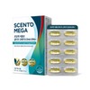 NutriOne 센토메가 초임계 식물성 알티지 오메가3 DHA EPA+ 1박스 1개월분 Centomega Supercritical Plant-Based RTG Omega-3 DHA EPA+ 1 Box 1 Month Supply