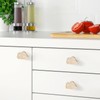 COZHYESS 6 Pcs White Clouds Shell Cup Pull Handles, Kitchen