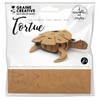 Graine Créative 3D Cardboard Model to Assemble - Turtle
