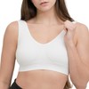 Coobie Seamless Comfort Bra,3-Pack,Medium