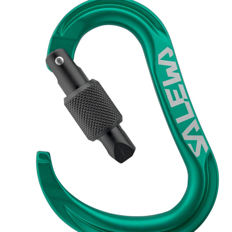 Salewa Ortles HMS Moschettone M