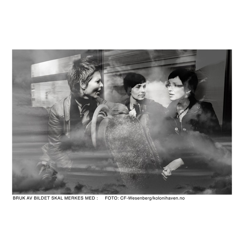 A Worcester Ladymass