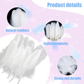 Feathers for Crafting, 250 Pcs 3 Size Natural Feathers White Black Yellow Pink Goose Feathers for DIY Dream Catchers Home Decor Wedding Party Decorations (White)