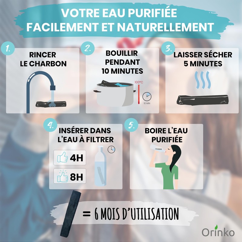 French Activated Carbon (Pack of 3)