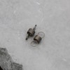 Be In Your Mind 2PCS Printer Ink Pump Spring Compatible