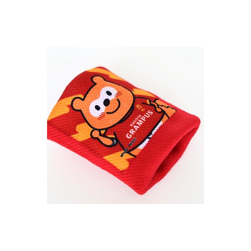 gran passpona wristband