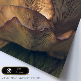 Nacnic-Set mit 6 Postern Kanadischer Herbst, Rot, Gelb und Braun. Natur und Inspiration Designillustrationen zur Dekoration der Wände Ihres Zuhauses. Räume A3 & A4 Rahmenlos