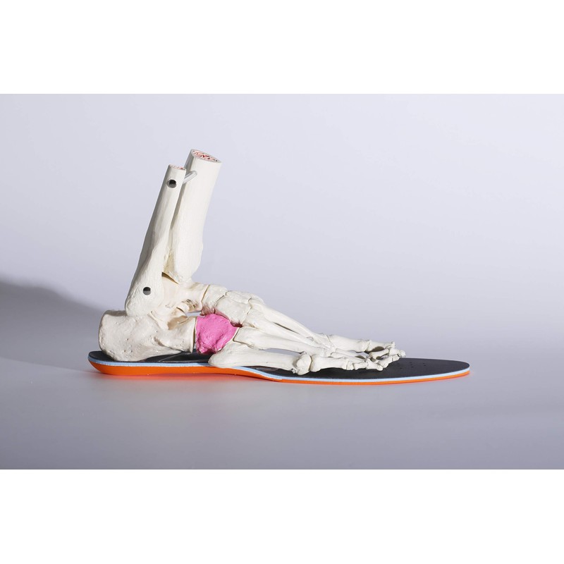 BMZ CL-K729 CCLP Theory Model Insole, Cal Power Smart Sports,