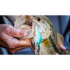 Berkley Dredger Fishing Lure, Green Shad, 1 1/8 oz, 3.25in