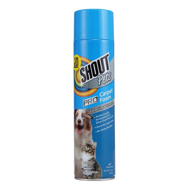 Shout for Pets Pro Strength Carpet Cleaning Foam | Carpet