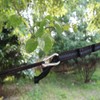 Fun For Life Funlife Outdoor Eco-Friendly Hammock Straps