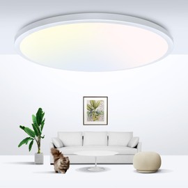 zemty LED Ceiling Light Flush Mount Super Slim 9 Inch 24W 2400lm Ceiling Lights with 3 Color Temperature in One 3000k/4500k/6000K - Round Flat Light Fixture for Kitchen Hallway (1Pack, White)