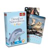 Bioviva 660211 Nature Challenges Junior Baby-Mar Card Game, Multi-Color