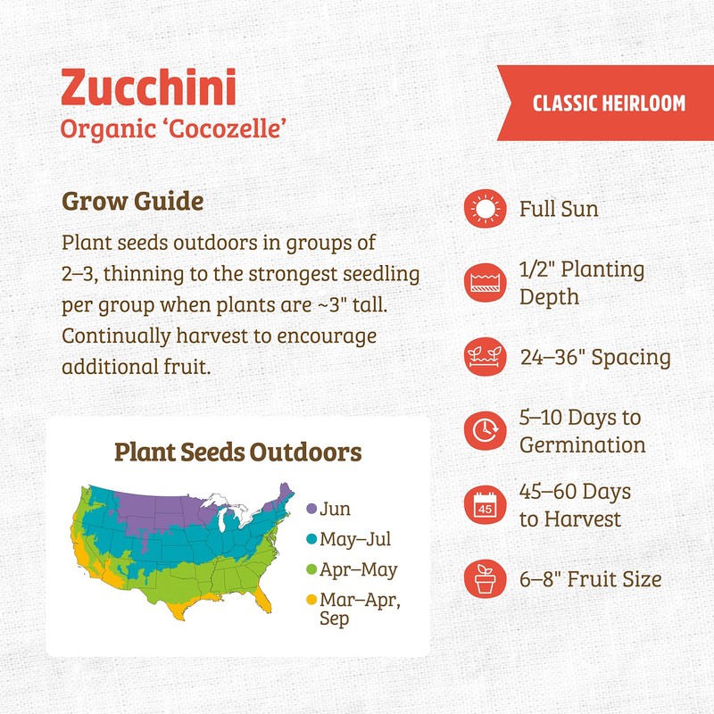Back to The Roots 100% Organic Seed Packet - Squash